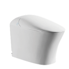 Elf.wish - Intelligence Toilet (C21260W-P-07)