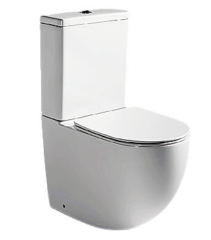 Gina - Close-coupled Toilet (C21286XW-P-RUS)