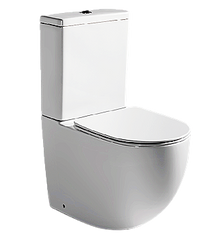 Gina - Close-coupled Toilet (C21286XW-P-RUS)