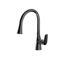 Rhein - Pull-down Kitchen Mixer (F7460564)