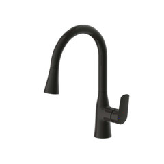 Rhein - Pull-down Kitchen Mixer (F7460564)