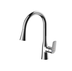 Rhein - Pull-down Kitchen Mixer (F7460564)