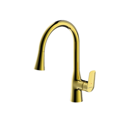 Rhein - Pull-down Kitchen Mixer (F7460564)